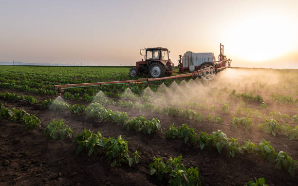 Best Pest Control for Warehouses  in Upton, WY